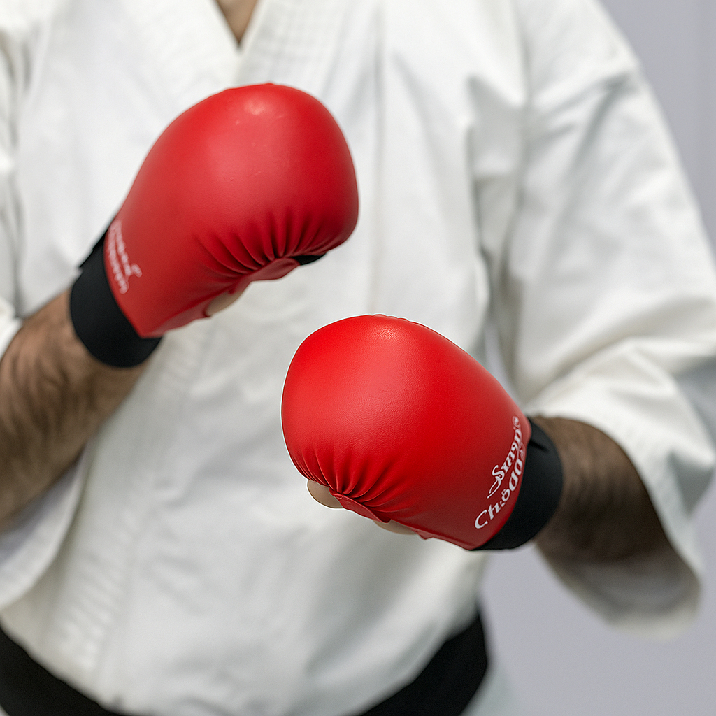 SVAAN KARATE GLOVES CHAMPION